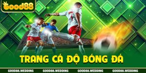 Trang Cá Độ Bóng Đá